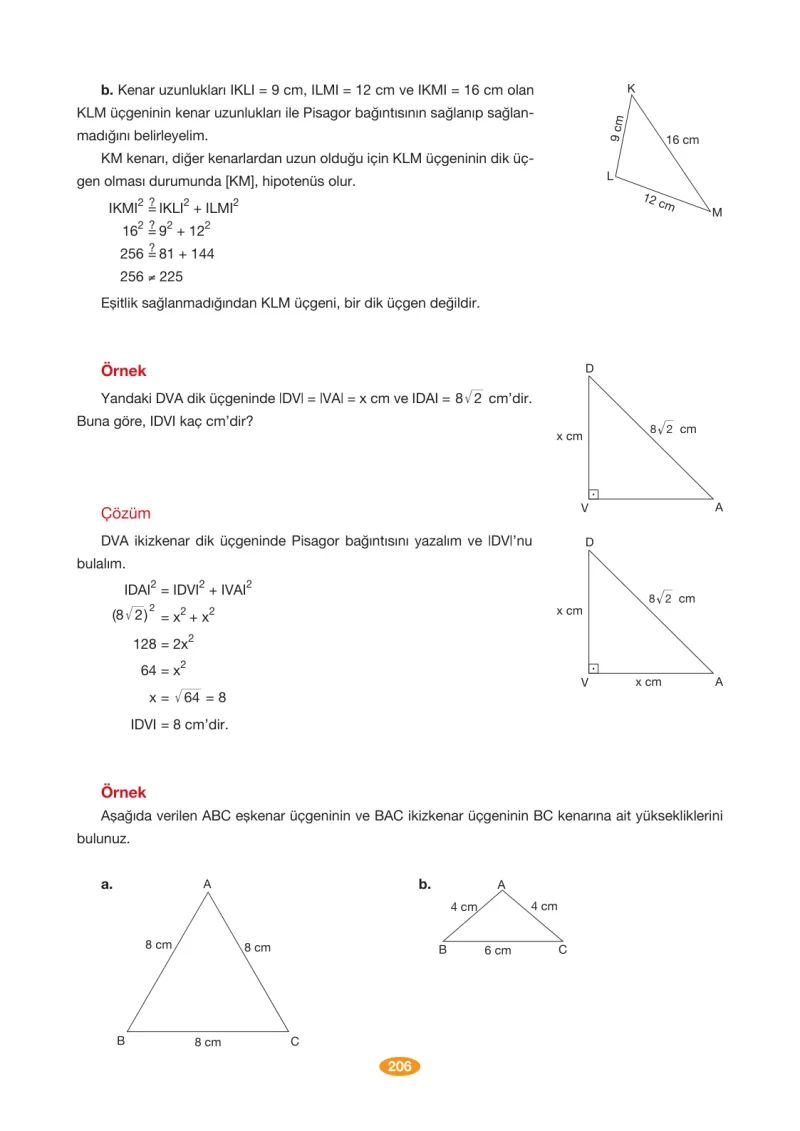 8. Sınıf Matematik Ders Kitabı Cevapları Berkay Yayınları Sayfa 206