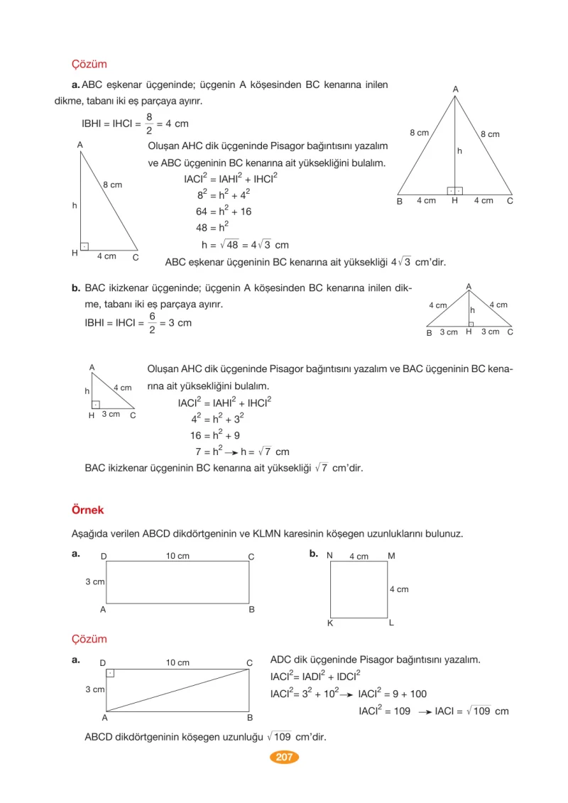 8. Sınıf Matematik Ders Kitabı Cevapları Berkay Yayınları Sayfa 207