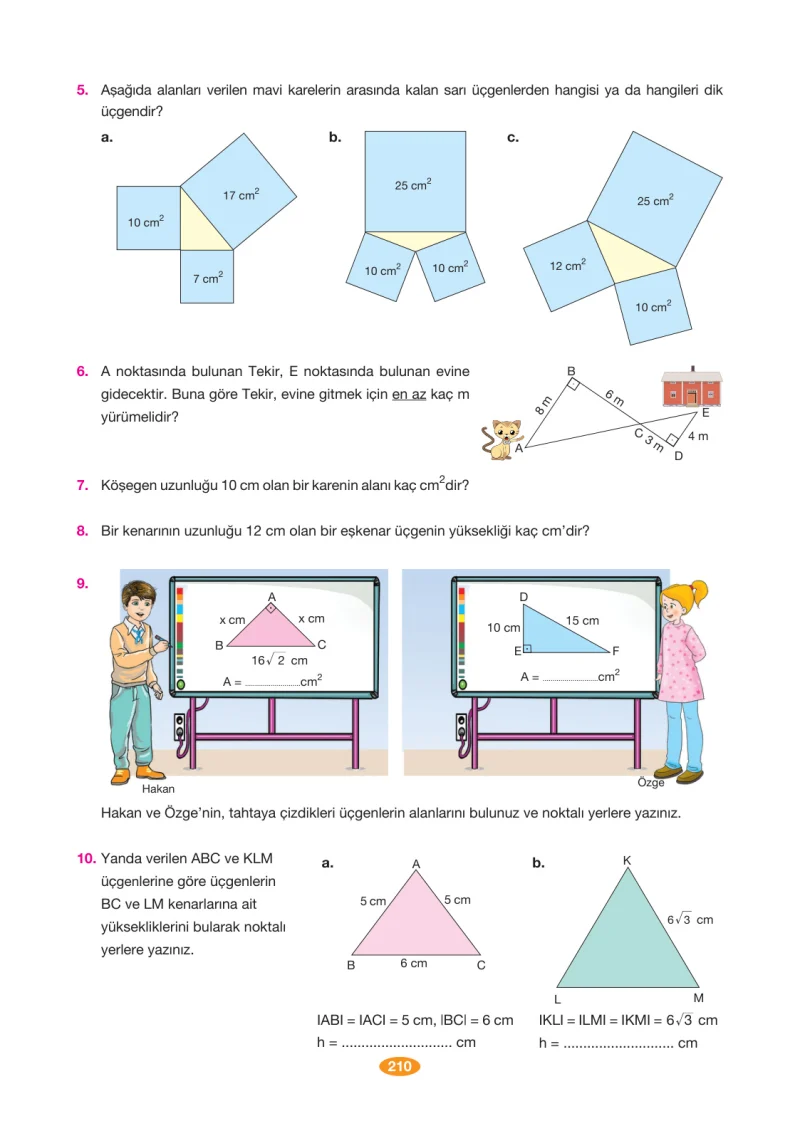 8. Sınıf Matematik Ders Kitabı Cevapları Berkay Yayınları Sayfa 210