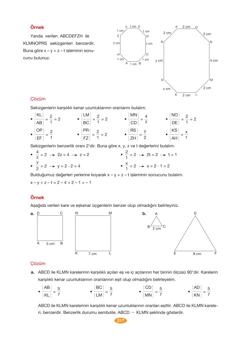 8. Sınıf Matematik Ders Kitabı Cevapları Berkay Yayınları Sayfa 217