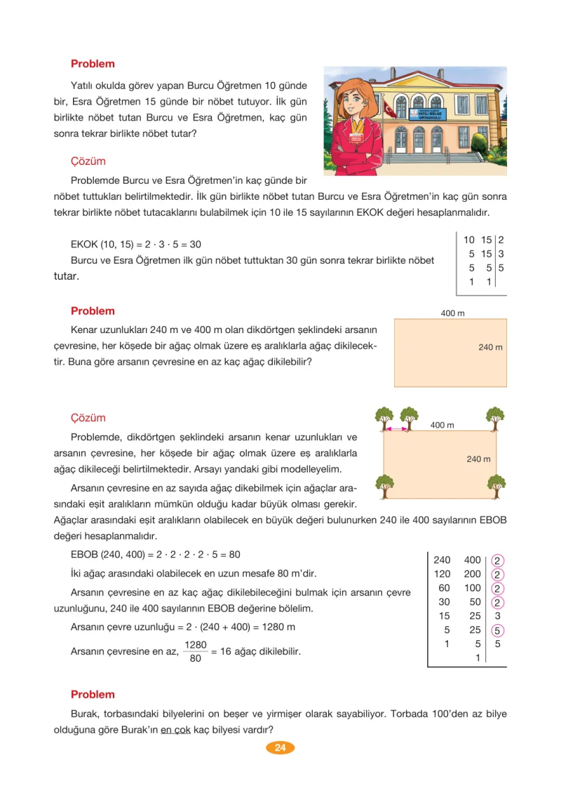 8. Sınıf Matematik Ders Kitabı Cevapları Berkay Yayınları Sayfa 24