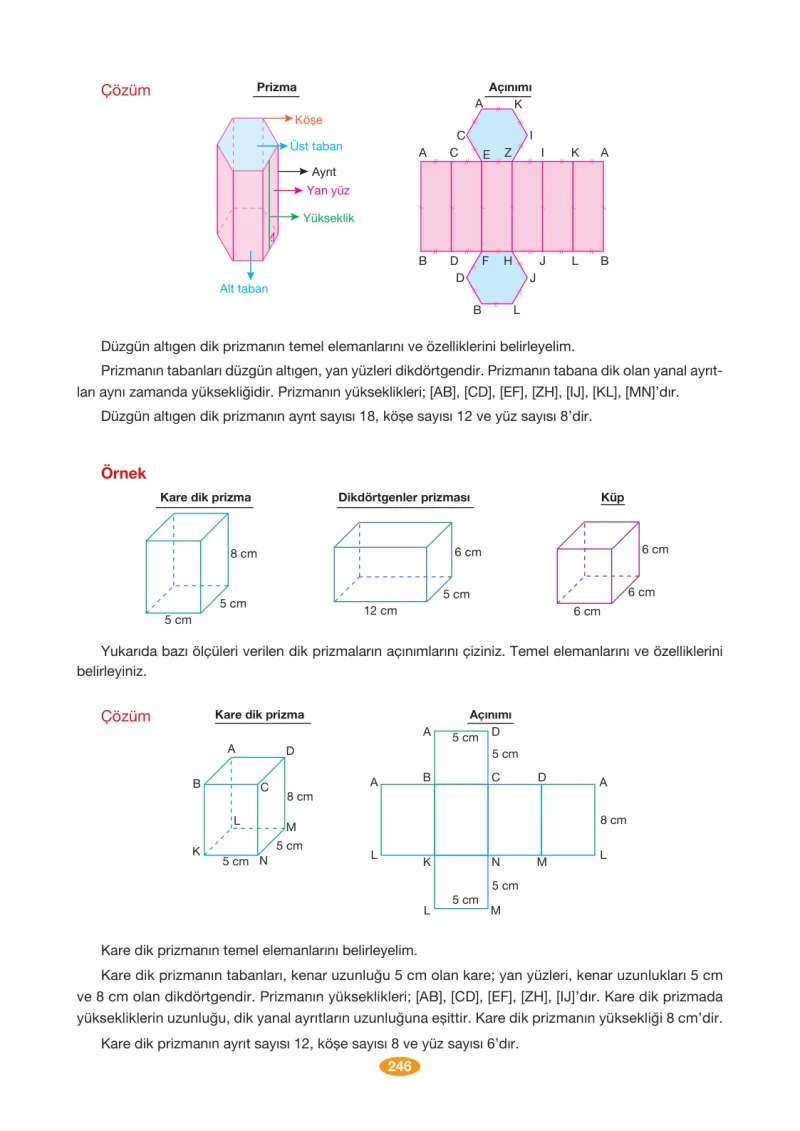 8. Sınıf Matematik Ders Kitabı Cevapları Berkay Yayınları Sayfa 246