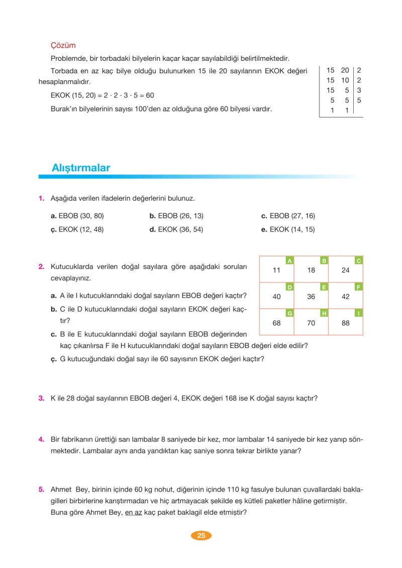 8. Sınıf Matematik Ders Kitabı Cevapları Berkay Yayınları Sayfa 25