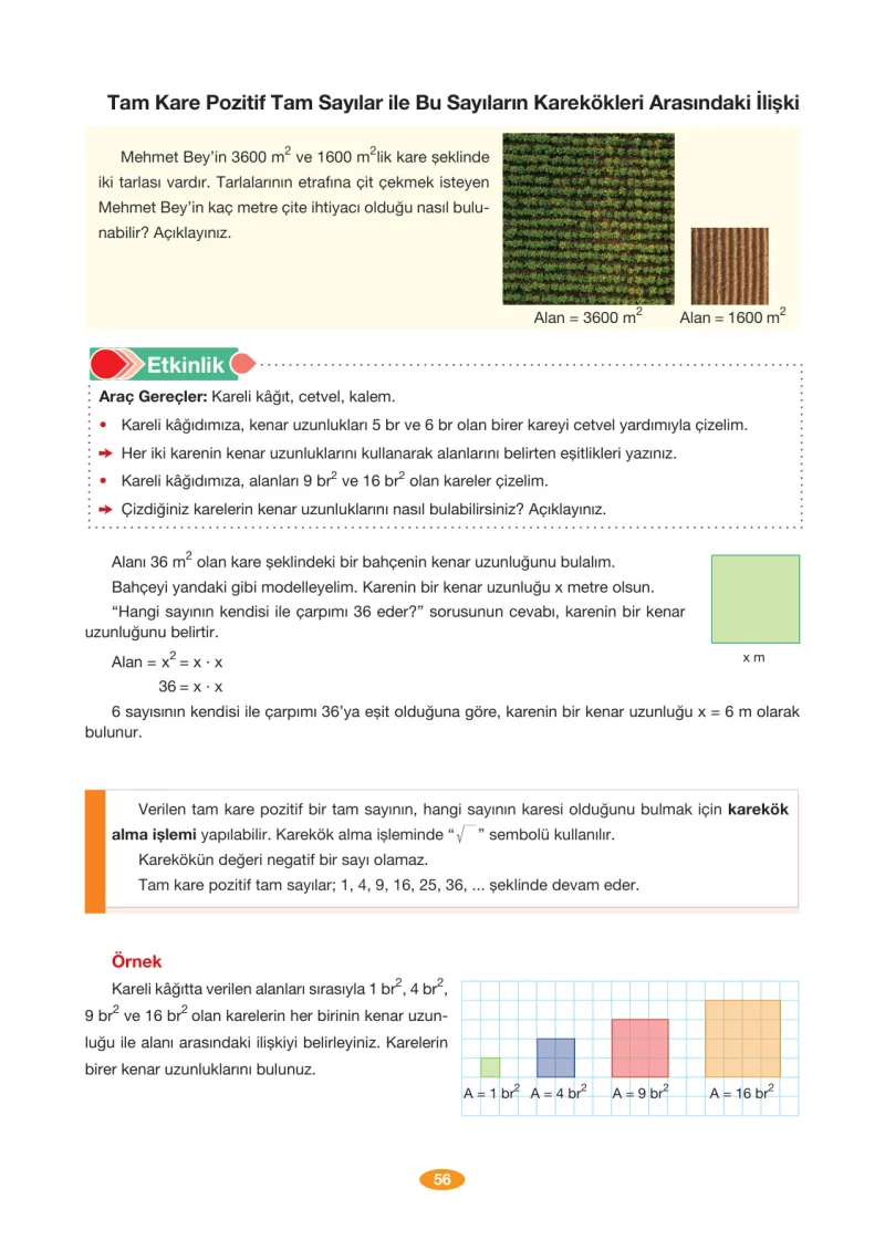 8. Sınıf Matematik Ders Kitabı Cevapları Berkay Yayınları Sayfa 56