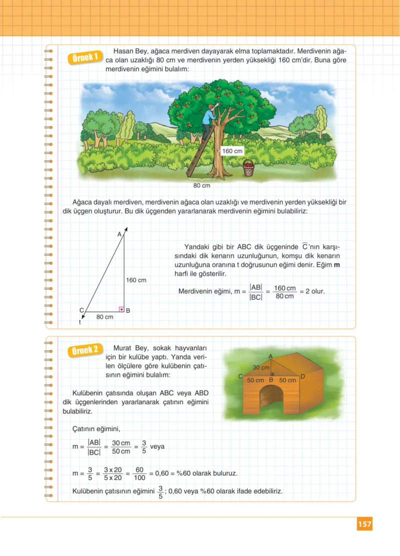 8. Sınıf Matematik Ders Kitabı Cevapları Koza Yayınları Sayfa 157
