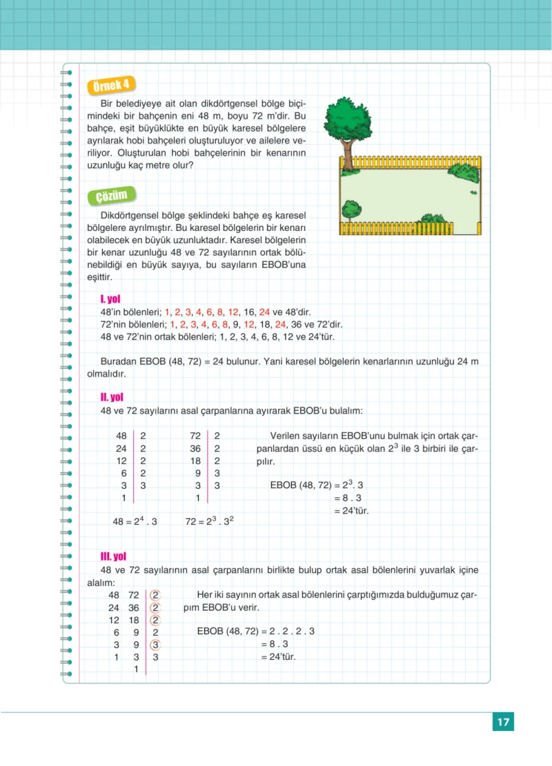 8. Sınıf Matematik Ders Kitabı Cevapları Koza Yayınları Sayfa 17