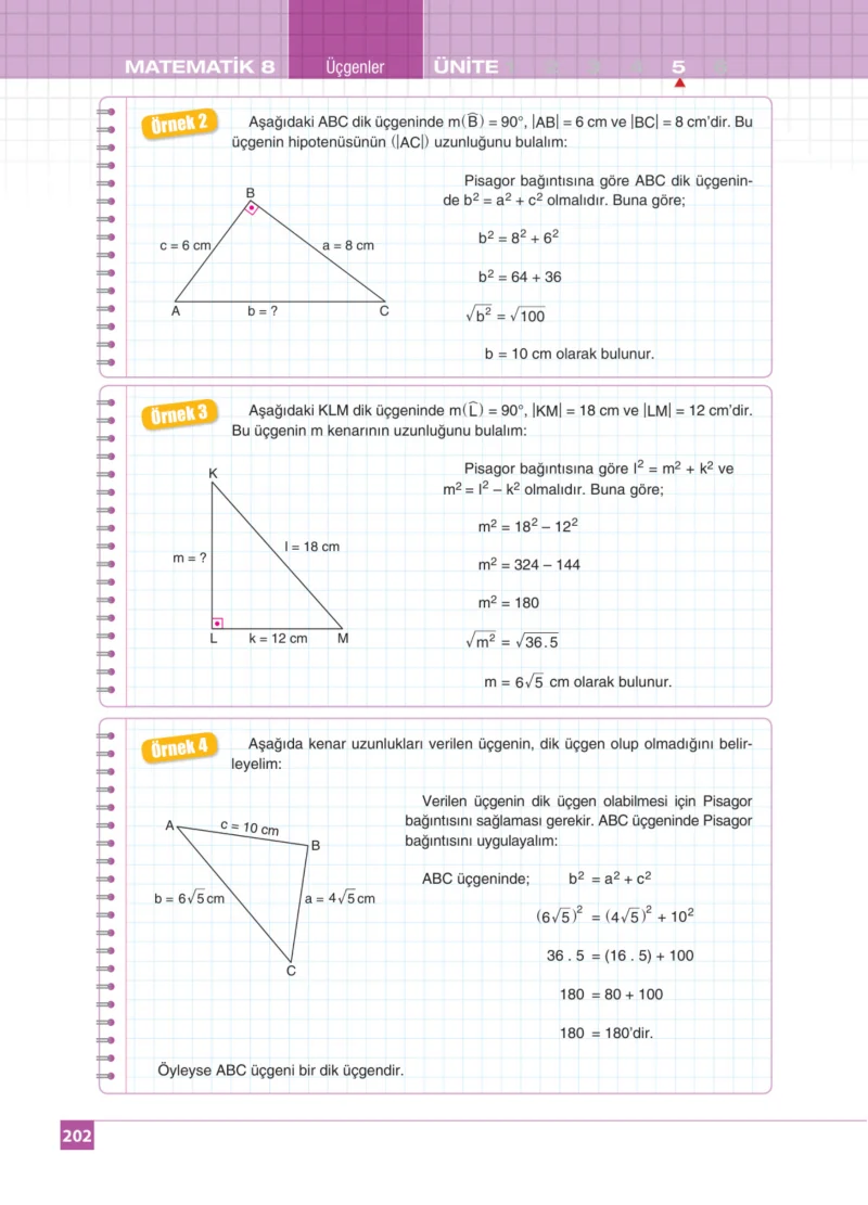 8. Sınıf Matematik Ders Kitabı Cevapları Koza Yayınları Sayfa 202