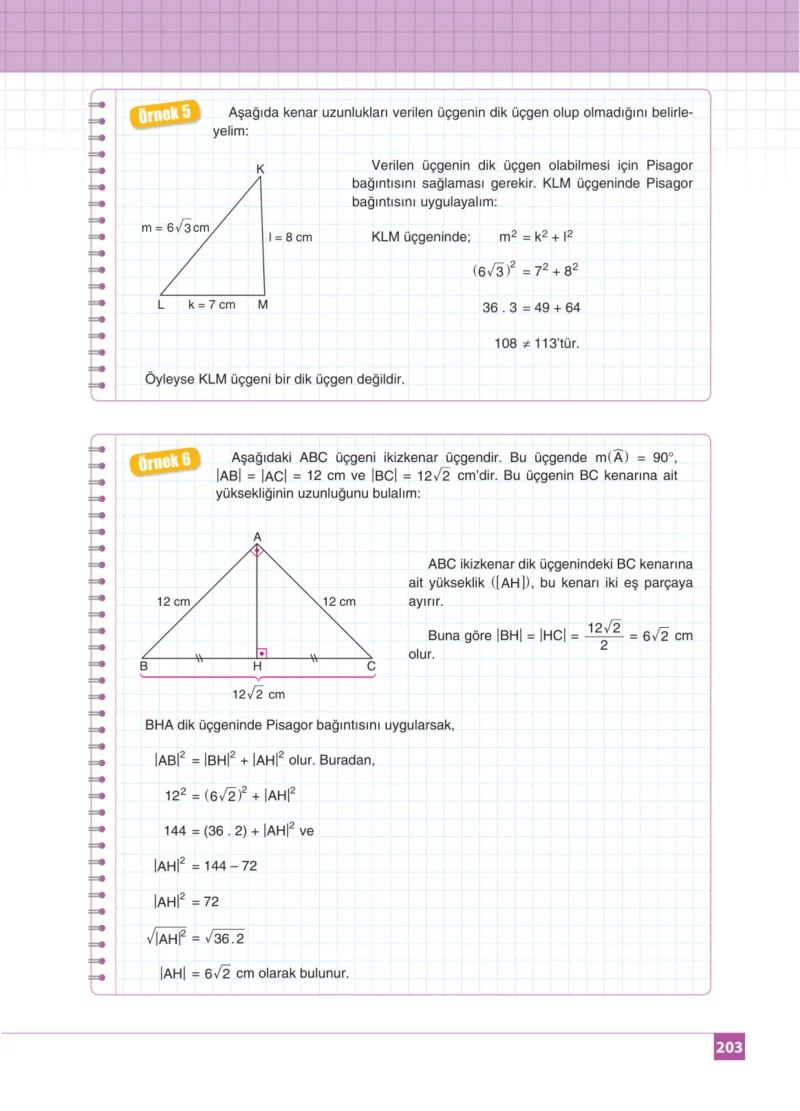 8. Sınıf Matematik Ders Kitabı Cevapları Koza Yayınları Sayfa 203