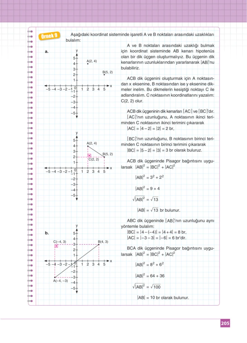8. Sınıf Matematik Ders Kitabı Cevapları Koza Yayınları Sayfa 205
