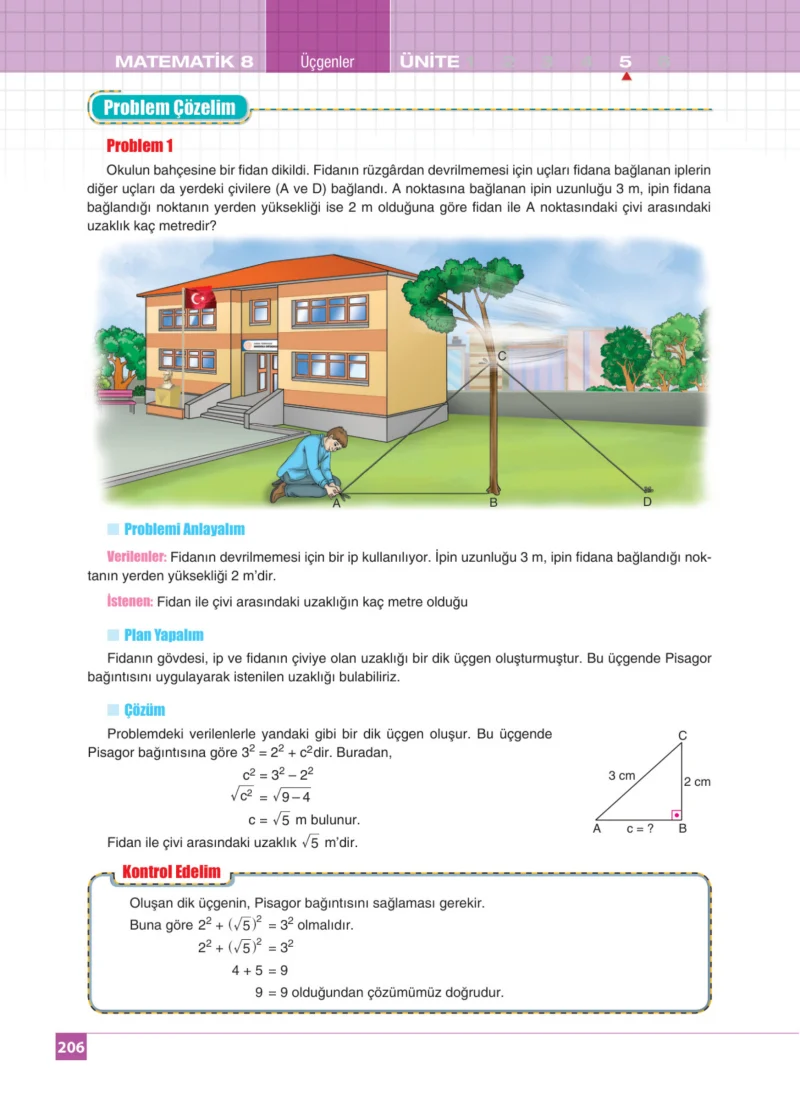 8. Sınıf Matematik Ders Kitabı Cevapları Koza Yayınları Sayfa 206