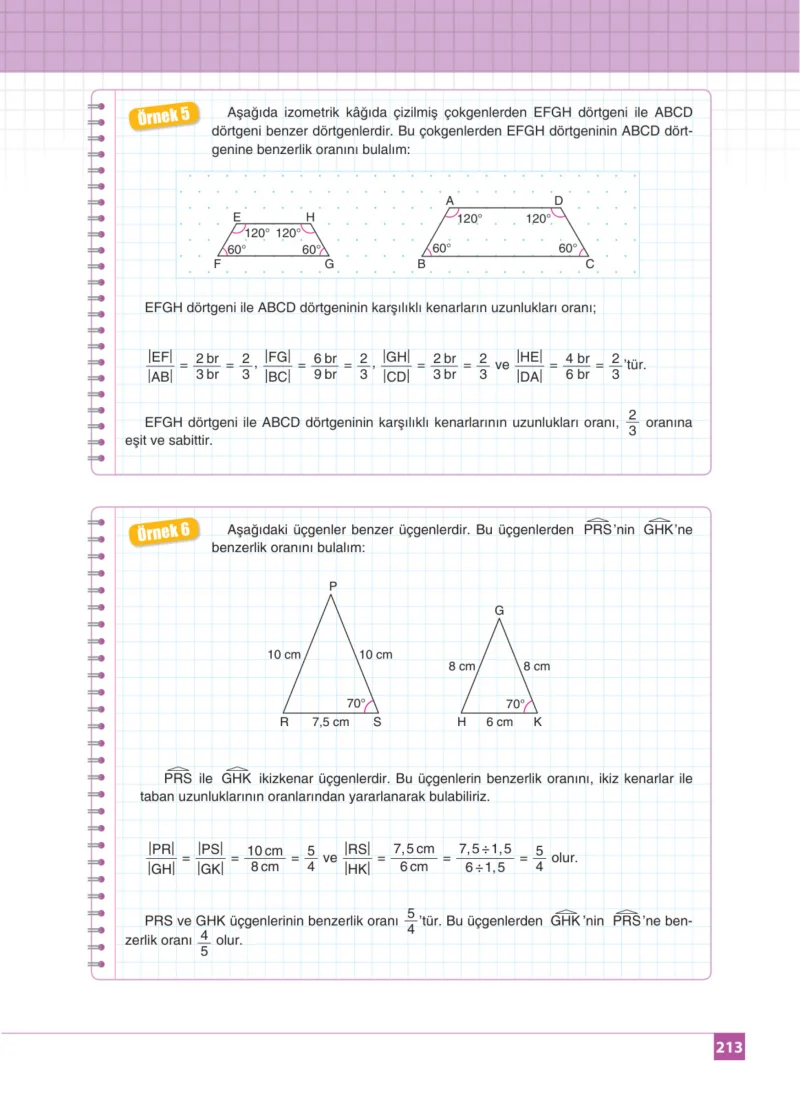 8. Sınıf Matematik Ders Kitabı Cevapları Koza Yayınları Sayfa 213