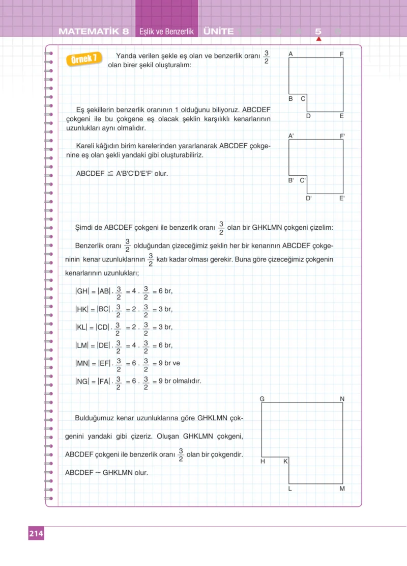 8. Sınıf Matematik Ders Kitabı Cevapları Koza Yayınları Sayfa 214