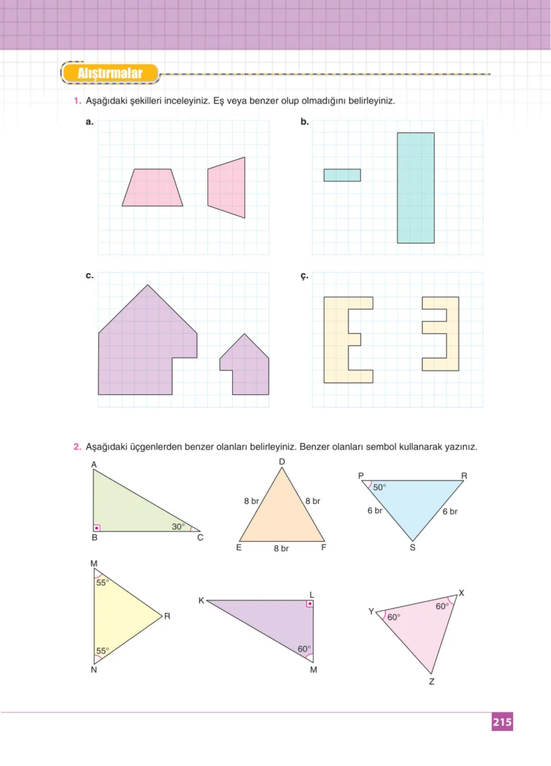 8. Sınıf Matematik Ders Kitabı Cevapları Koza Yayınları Sayfa 215