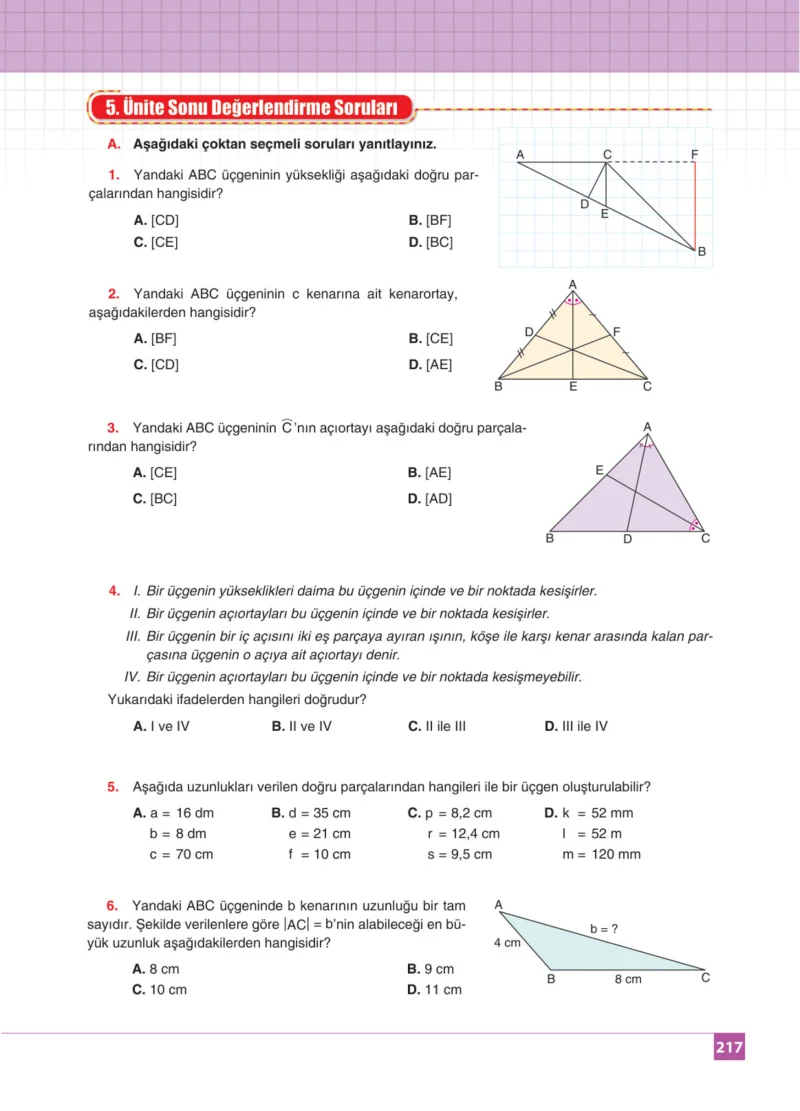 8. Sınıf Matematik Ders Kitabı Cevapları Koza Yayınları Sayfa 217