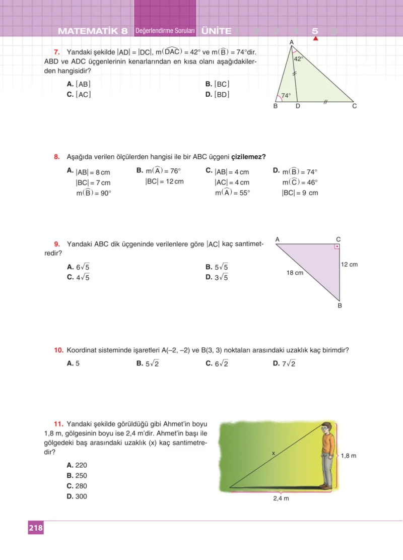 8. Sınıf Matematik Ders Kitabı Cevapları Koza Yayınları Sayfa 218