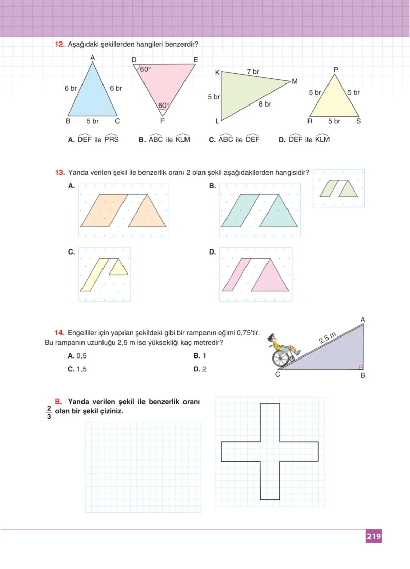 8. Sınıf Matematik Ders Kitabı Cevapları Koza Yayınları Sayfa 219