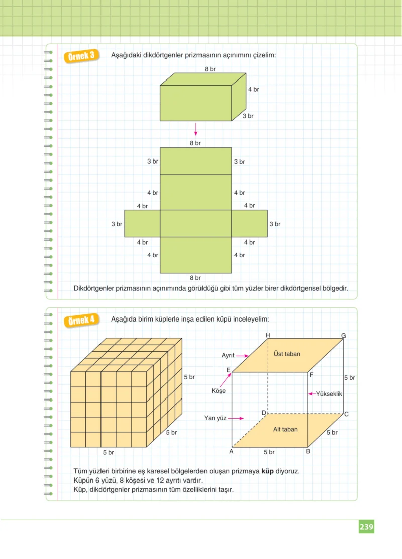 8. Sınıf Matematik Ders Kitabı Cevapları Koza Yayınları Sayfa 239