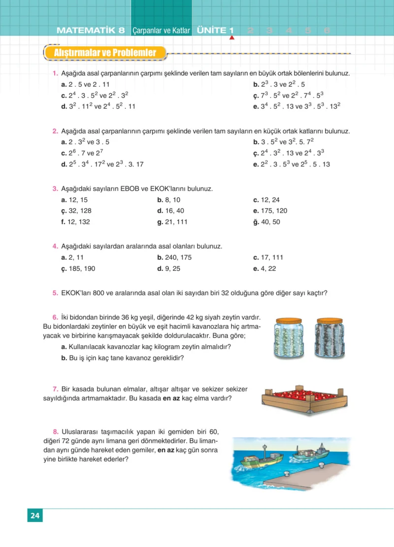 8. Sınıf Matematik Ders Kitabı Cevapları Koza Yayınları Sayfa 24
