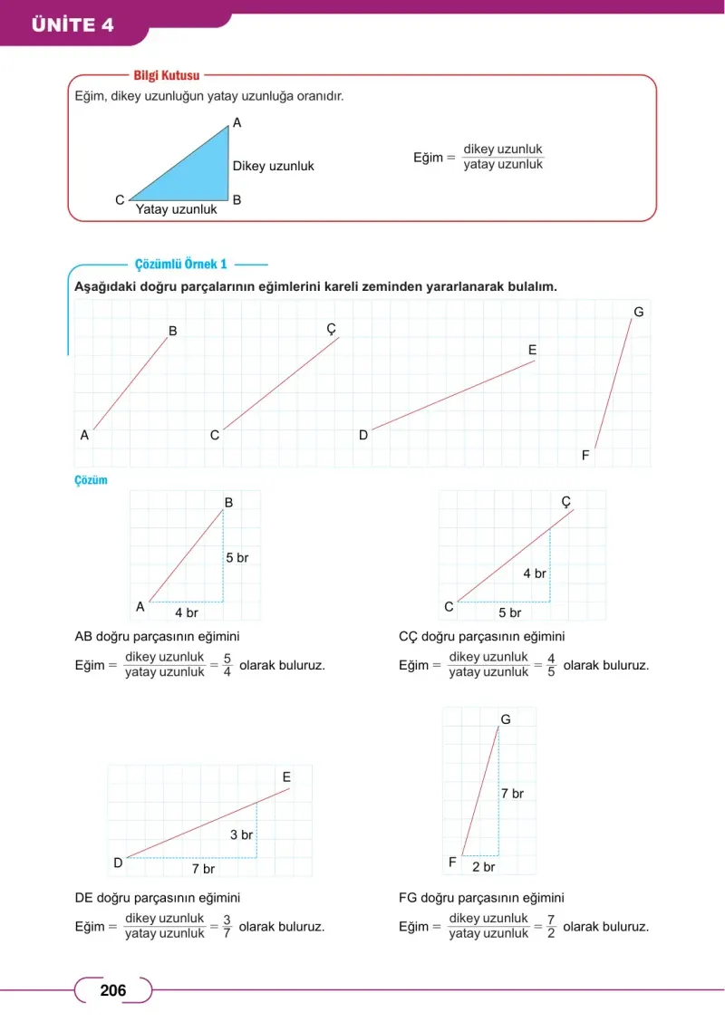 8. Sınıf Matematik Ders Kitabı Cevapları Meb Yayınları Sayfa 206