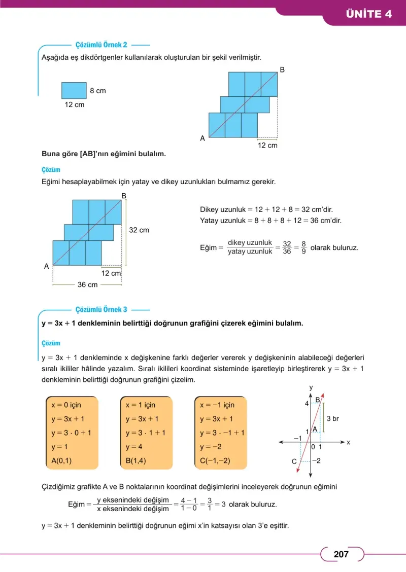 8. Sınıf Matematik Ders Kitabı Cevapları Meb Yayınları Sayfa 207