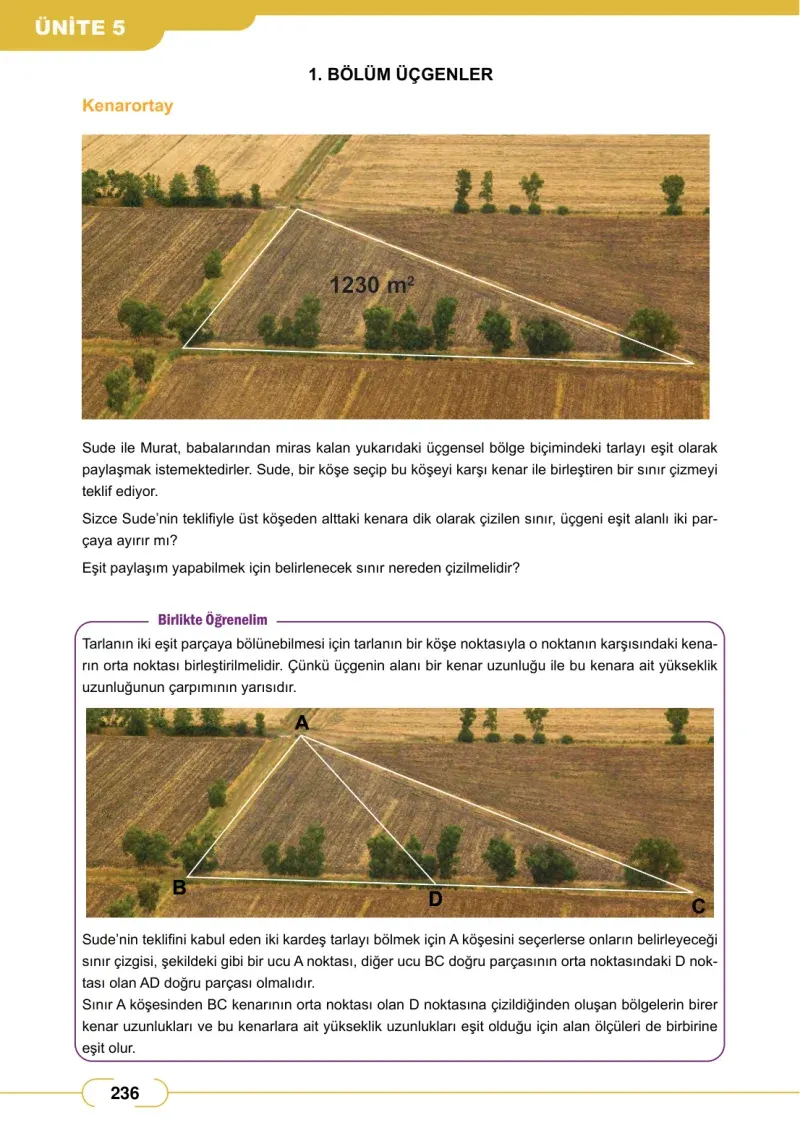 8. Sınıf Matematik Ders Kitabı Cevapları Meb Yayınları Sayfa 236