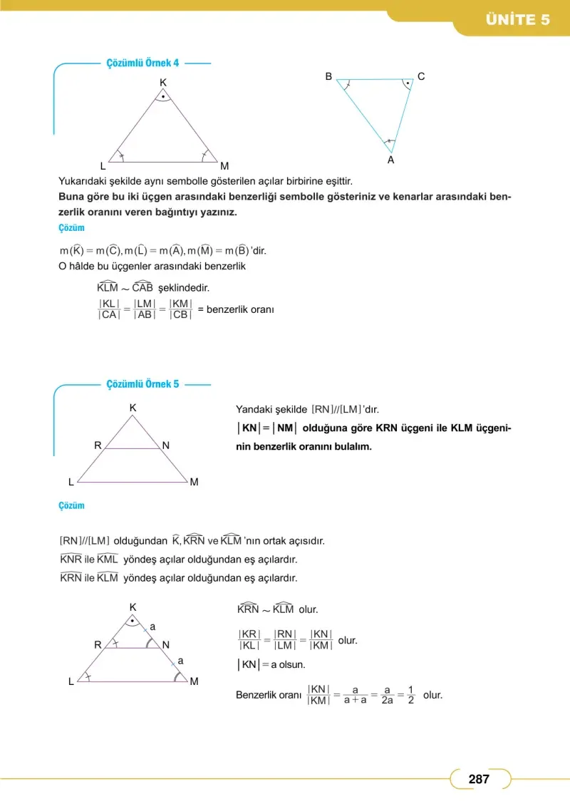 8. Sınıf Matematik Ders Kitabı Cevapları Meb Yayınları Sayfa 287