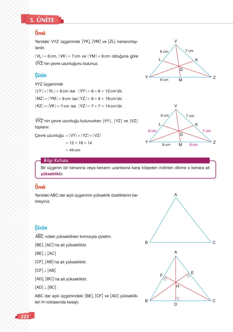 8. Sınıf Matematik Ders Kitabı Cevapları Sonuç Yayınları Sayfa 222