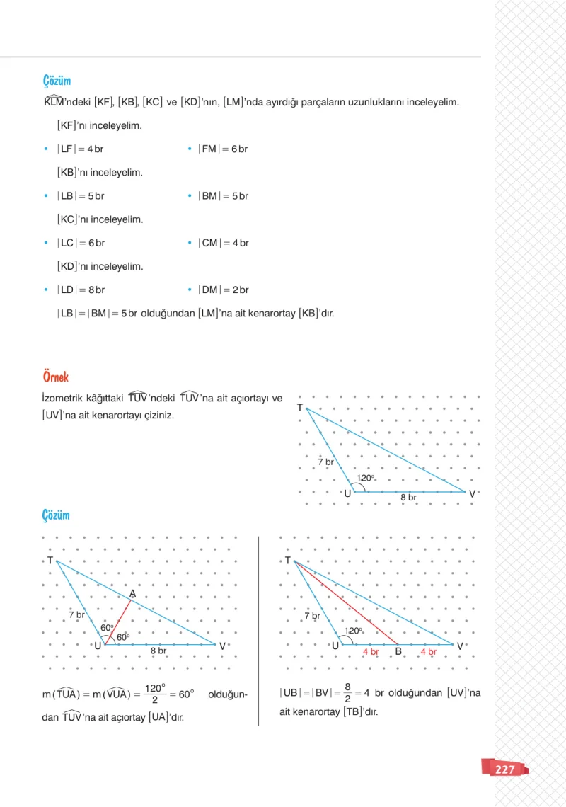 8. Sınıf Matematik Ders Kitabı Cevapları Sonuç Yayınları Sayfa 227