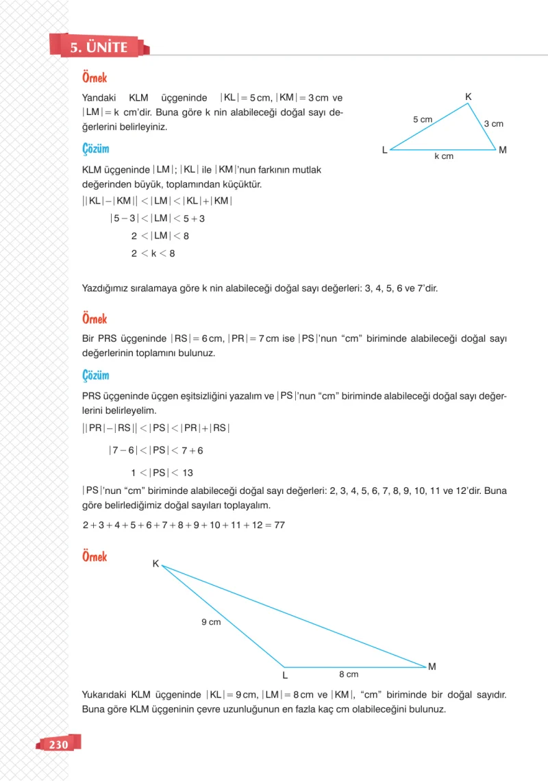 8. Sınıf Matematik Ders Kitabı Cevapları Sonuç Yayınları Sayfa 230