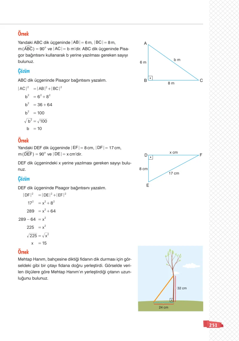 8. Sınıf Matematik Ders Kitabı Cevapları Sonuç Yayınları Sayfa 251