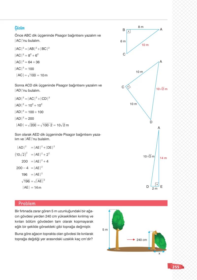 8. Sınıf Matematik Ders Kitabı Cevapları Sonuç Yayınları Sayfa 255