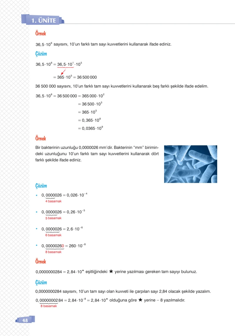 8. Sınıf Matematik Ders Kitabı Cevapları Sonuç Yayınları Sayfa 48