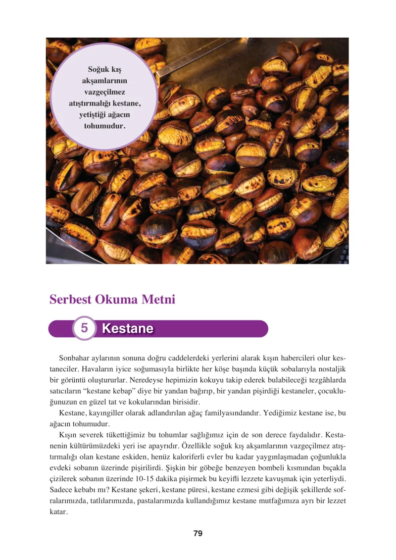 8. Sınıf Türkçe Ders Kitabı Cevapları Hecce Yayınları Sayfa 79