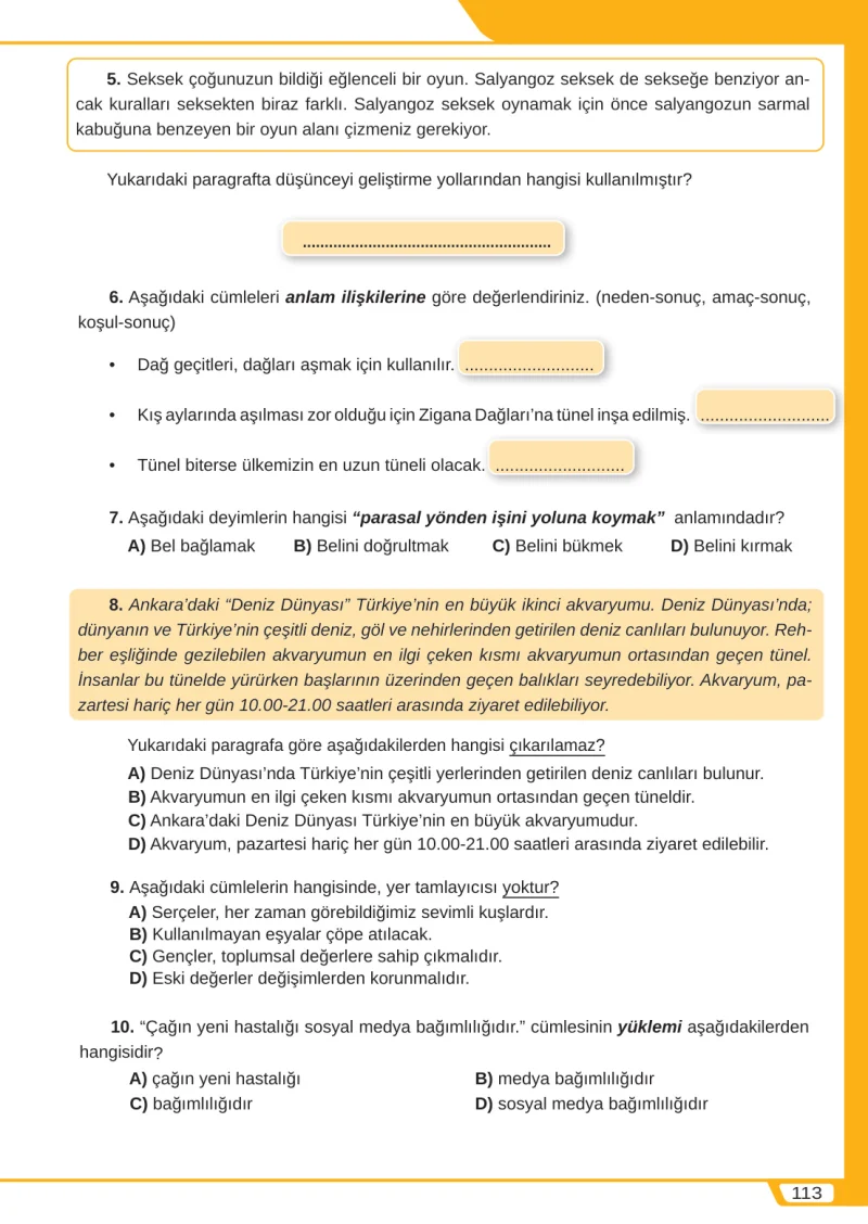8. Sınıf Türkçe Ders Kitabı Cevapları Meb Yayınları Sayfa 113