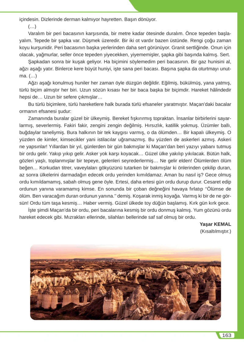 8. Sınıf Türkçe Ders Kitabı Cevapları Meb Yayınları Sayfa 163