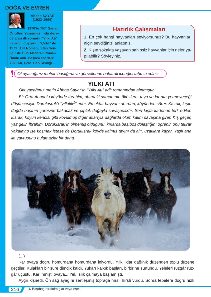 8. Sınıf Türkçe Ders Kitabı Cevapları Meb Yayınları Sayfa 216