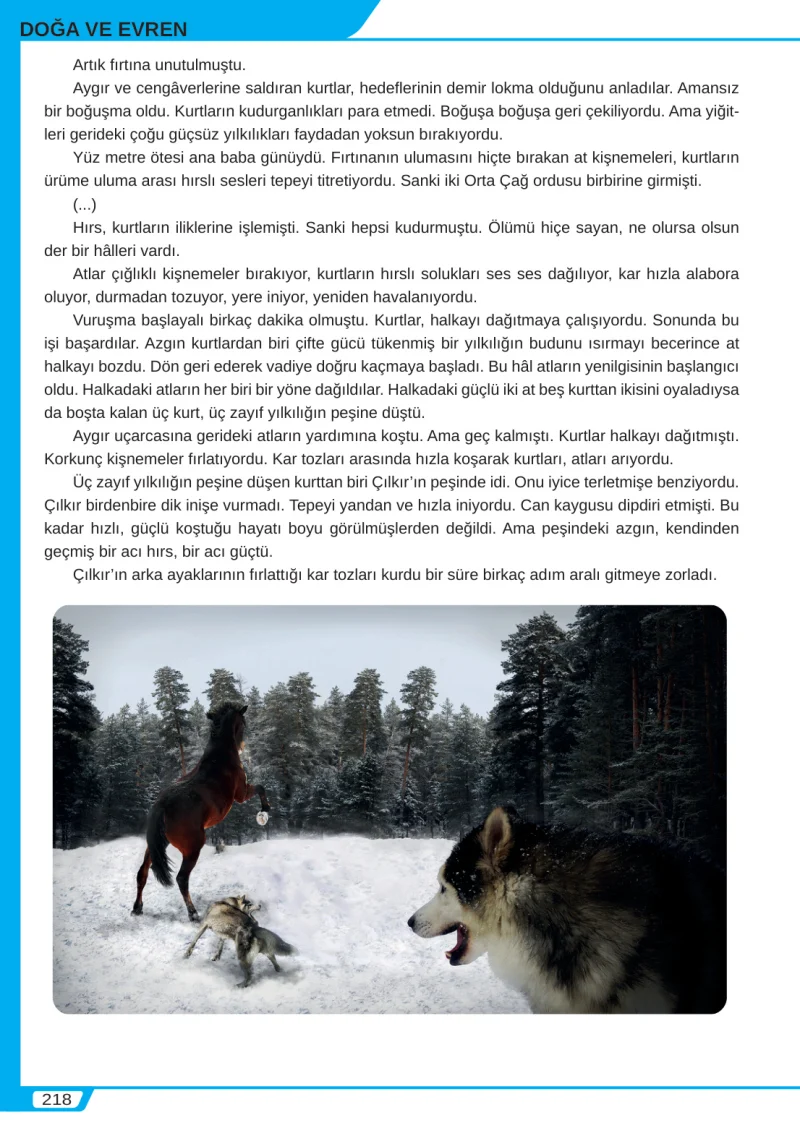 8. Sınıf Türkçe Ders Kitabı Cevapları Meb Yayınları Sayfa 218
