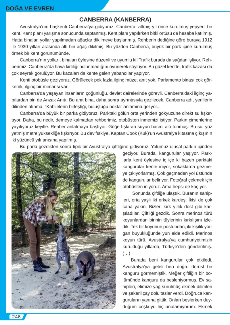 8. Sınıf Türkçe Ders Kitabı Cevapları Meb Yayınları Sayfa 246