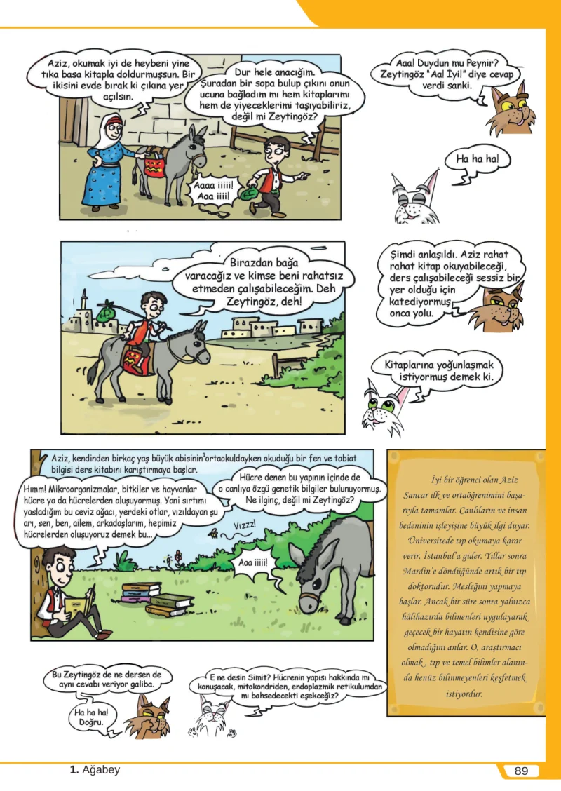 8. Sınıf Türkçe Ders Kitabı Cevapları Meb Yayınları Sayfa 89