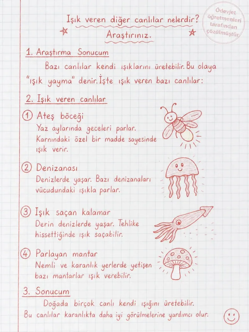 Işık veren diğer canlılar nelerdir? Araştırınız — çözüm
