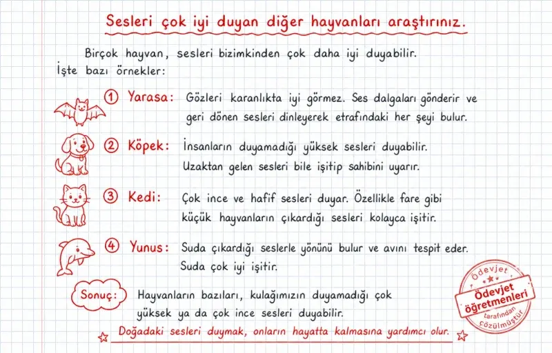 Sesleri çok iyi duyan diğer hayvanları araştırınız — çözüm