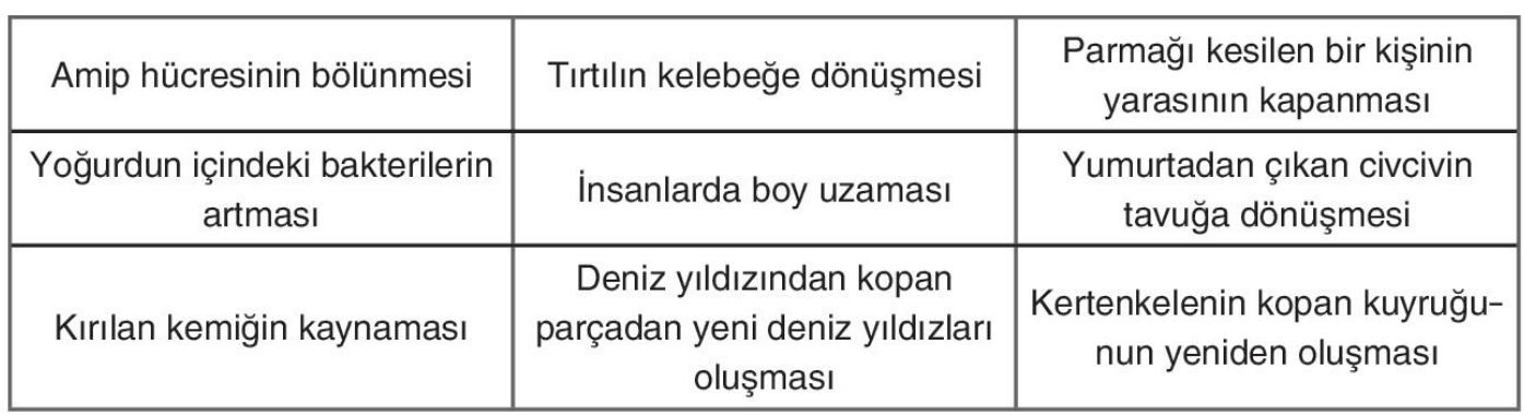 soru gorseli