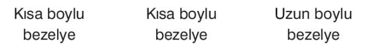 sik gorseli