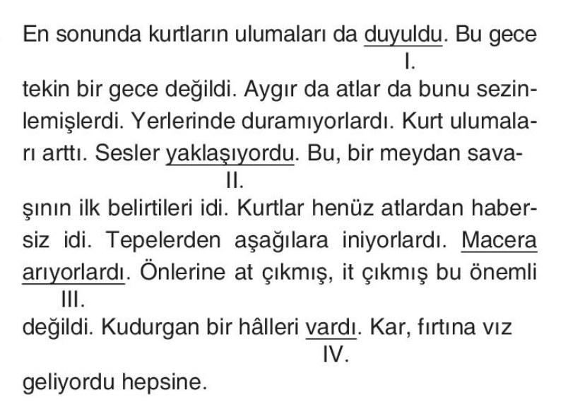 soru gorseli