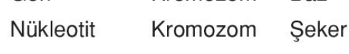 sik gorseli
