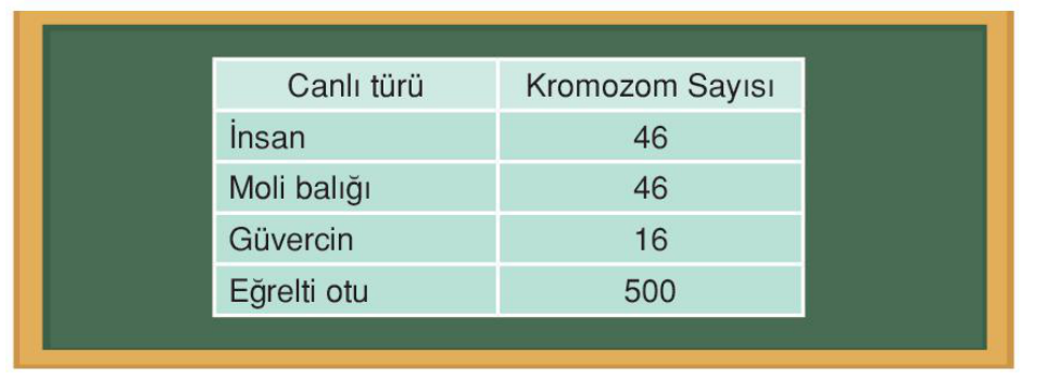 soru gorseli