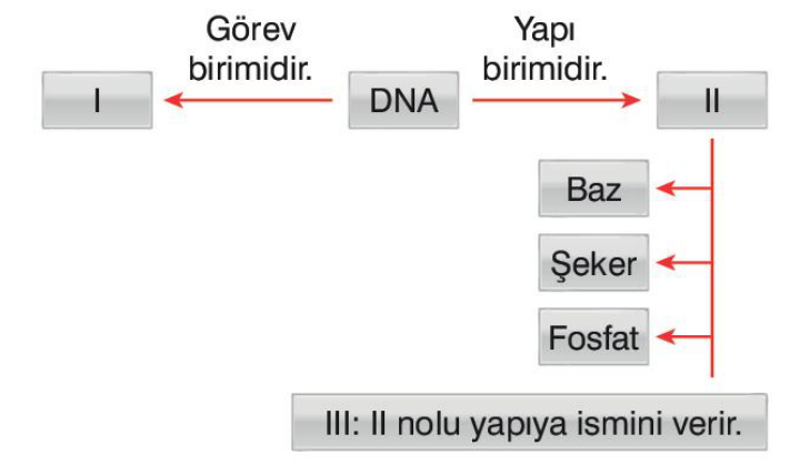 soru gorseli