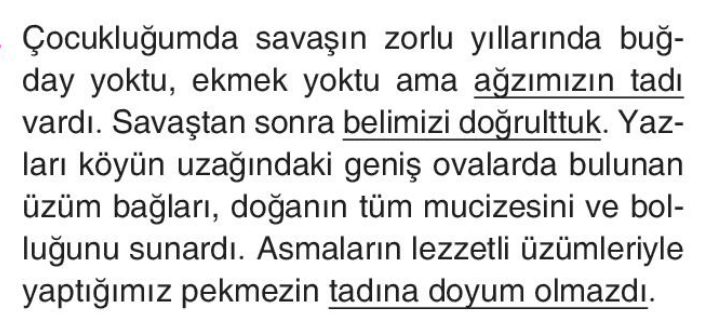 soru gorseli