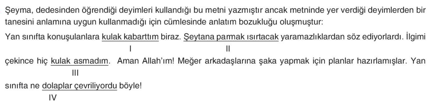 soru gorseli