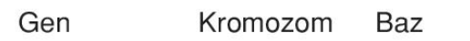 sik gorseli